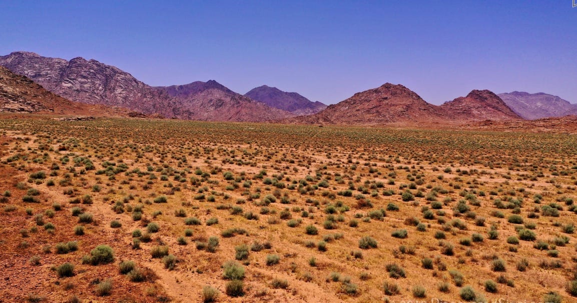 Wilderness, His Word and my Soul